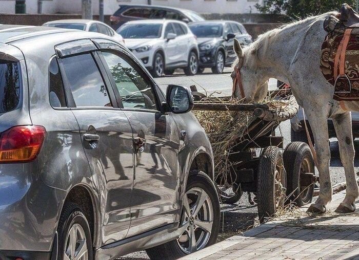 Автомобиль не роскошь