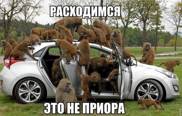 Автомобиль не роскошь