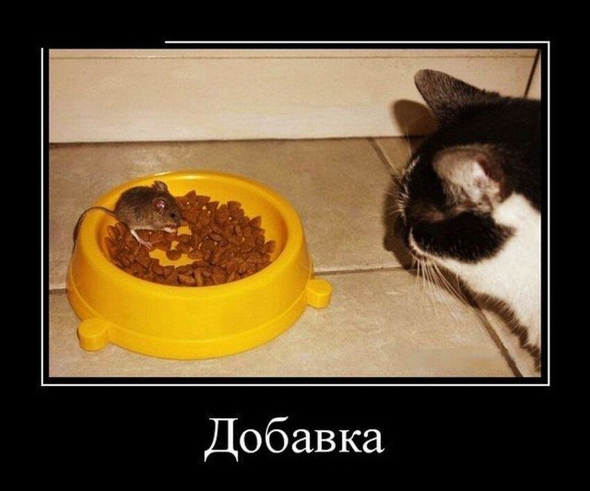 Добавка