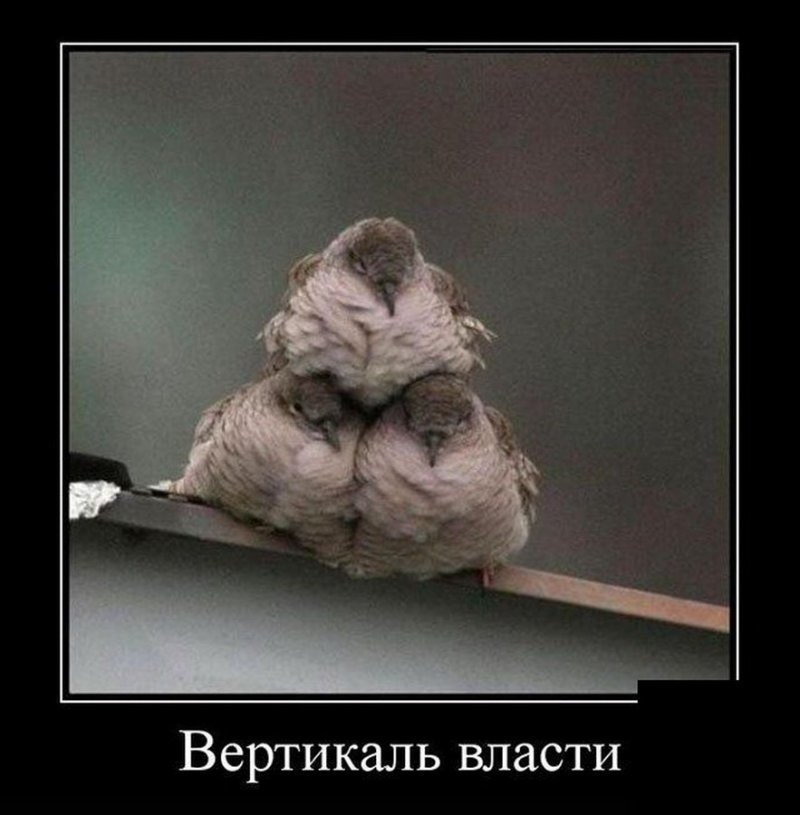 Вертикаль власти