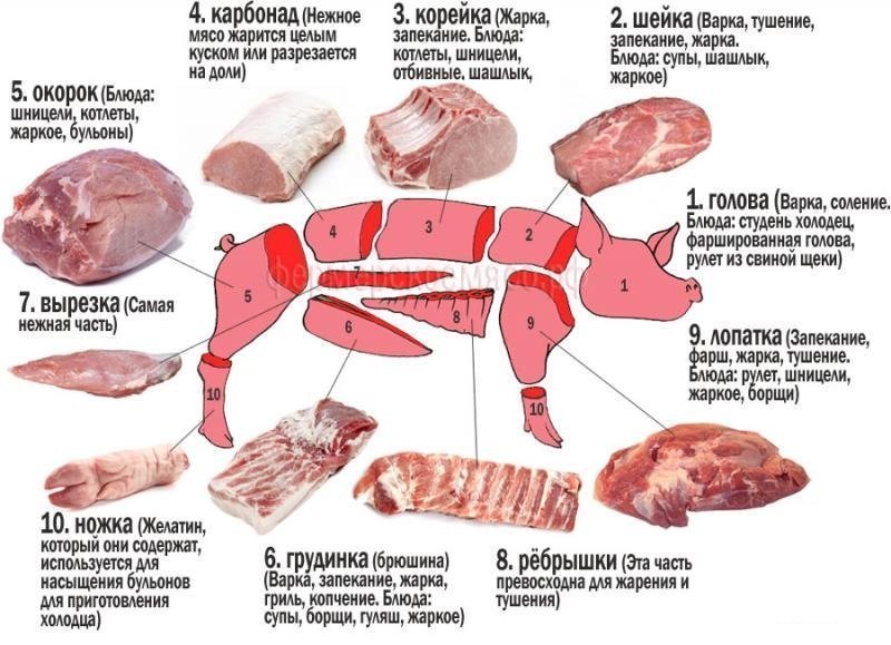 О пользе свинины