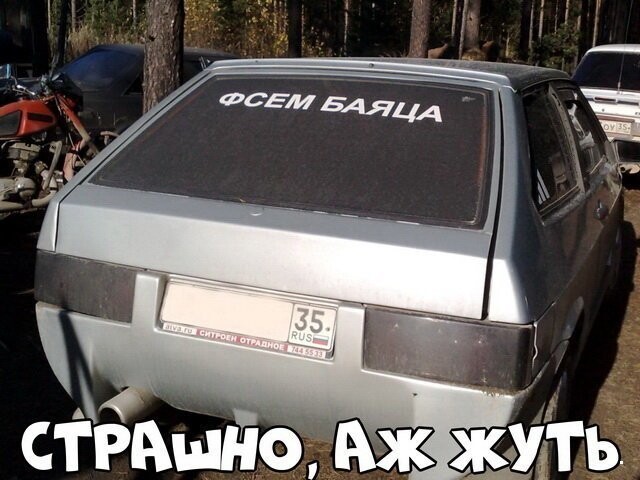 Автовсячина