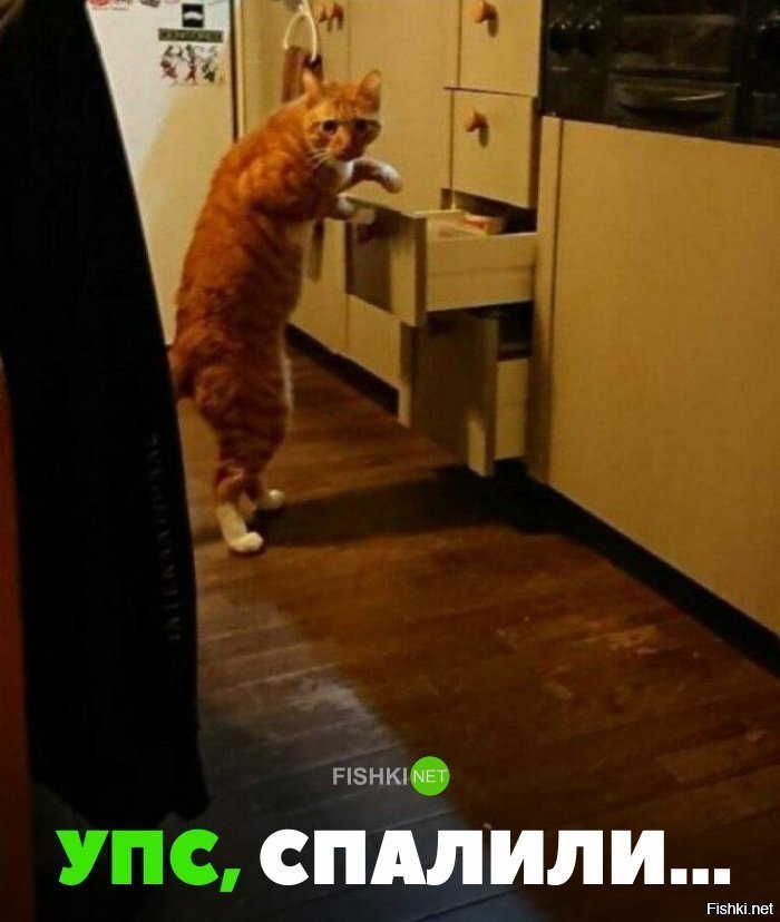 Спалили