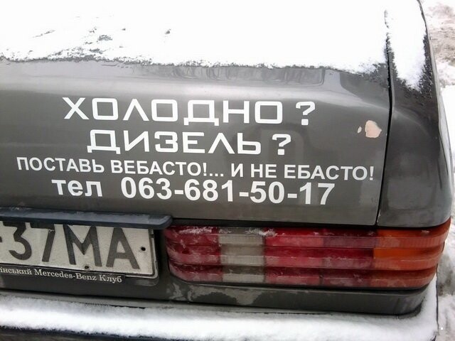 Автовсячина