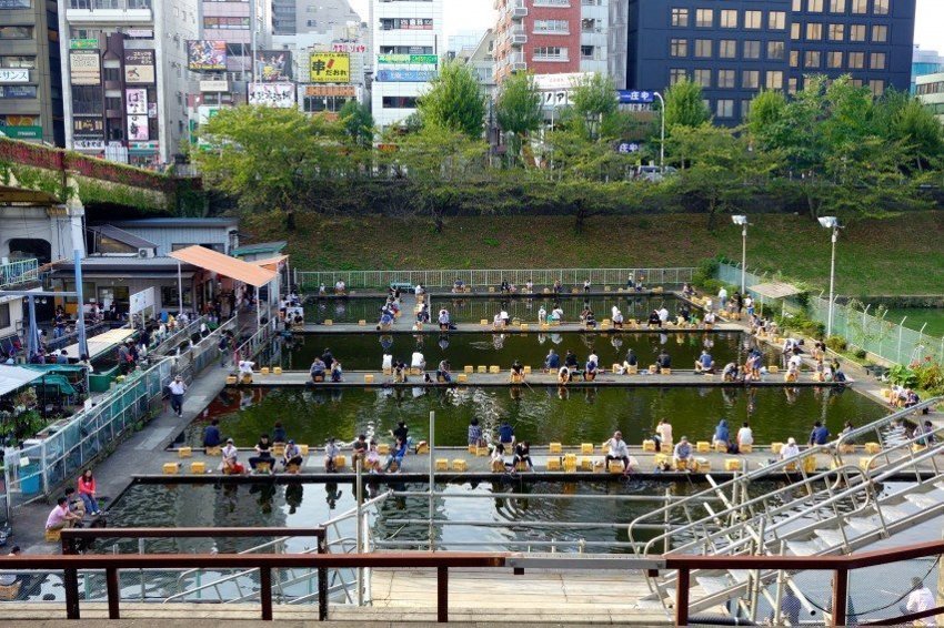 5. В Японии есть специальные организации, которые устраивают туристическую рыбалку: без улова никто не уйдет