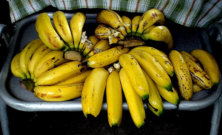 Как мы теряем бананы