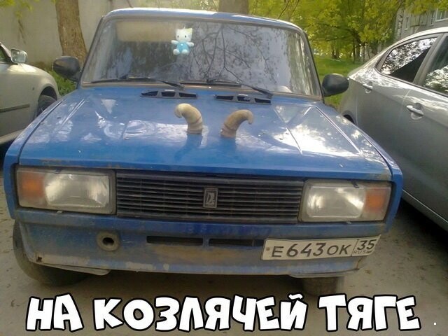 Автовсячина