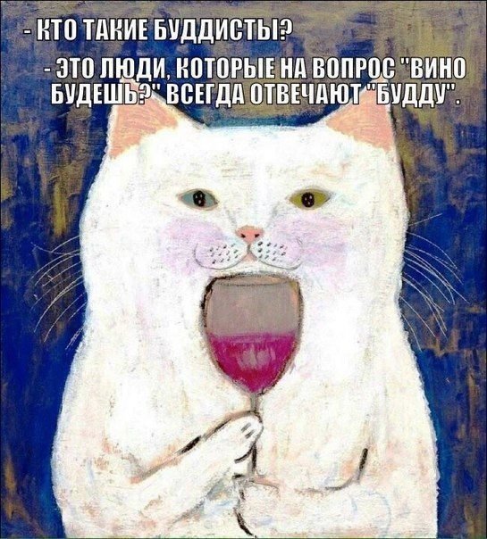 Коты-буддисты