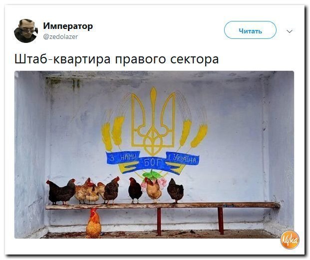 Политические коментарии - 531