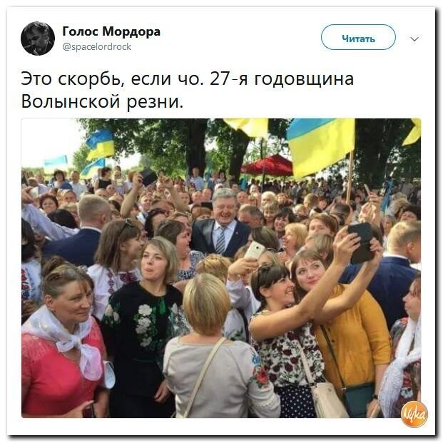 Политические коментарии - 531
