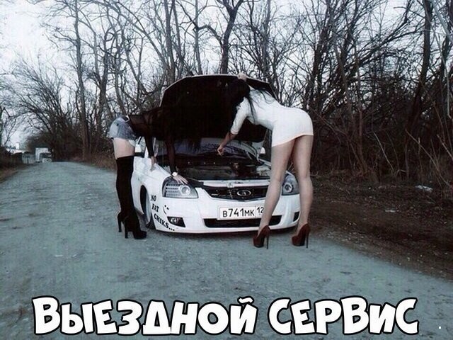 Автовсячина