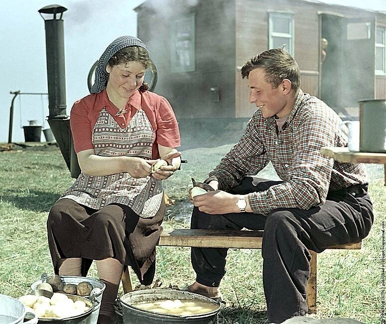 Целинники готовят обед у полевой кухни. Фотограф Исаак Тункель, 1955 год.