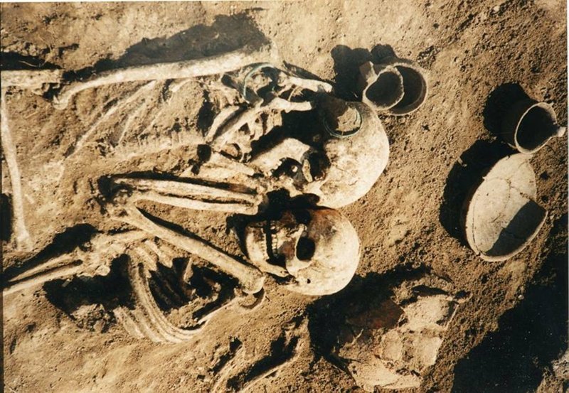 В ходе раскопок возле села Петрикова на окраине Тернополя археологи обнаружили захоронение 3000-летней давности  