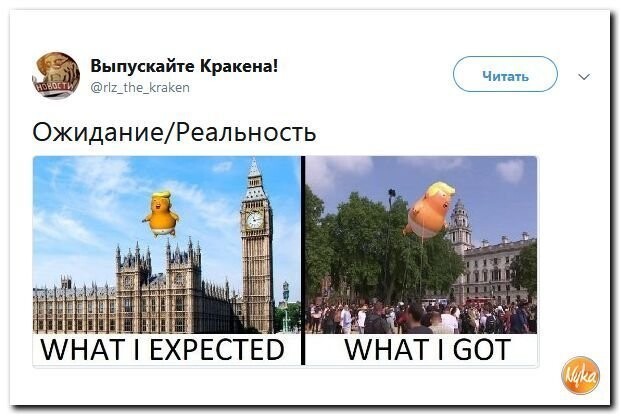 Политические коментарии - 534