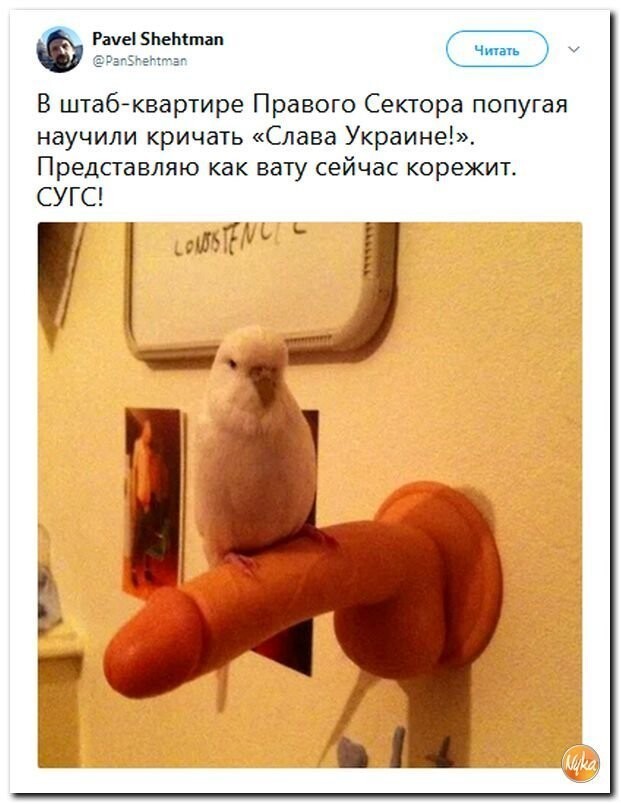 Политические коментарии - 534
