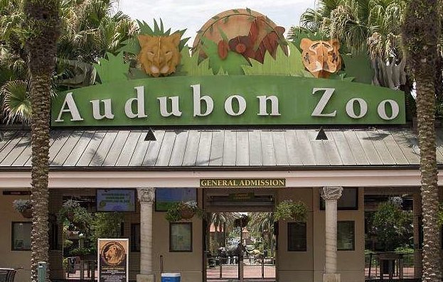 В зоопарке Нового Орлеана сбежал ягуар