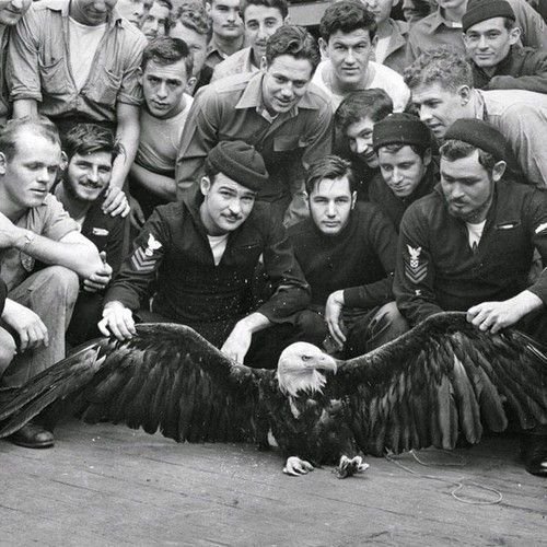 6. Моряки ВМС США позируют с орлом, которого они спасли в северной части Тихого океана, 1944 год