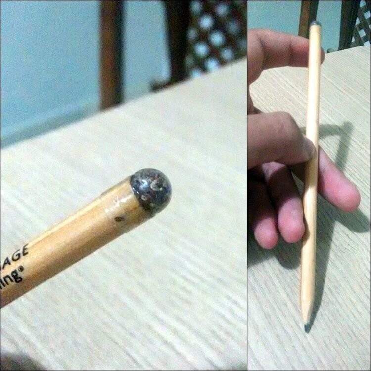На обратном конце этого карандаша спрятаны семена.