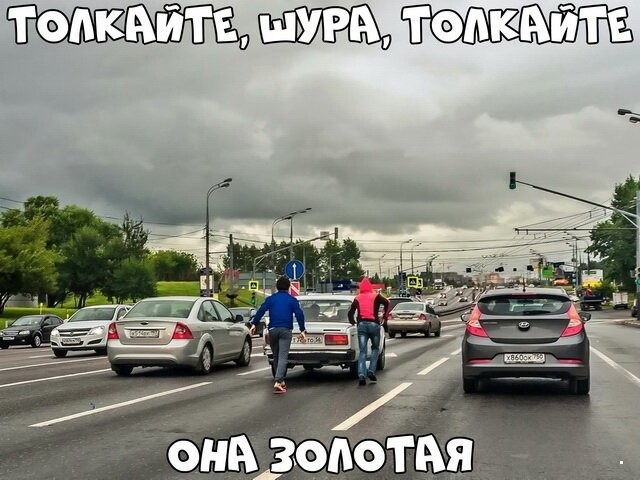 Автовсячина