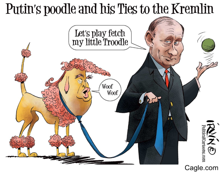 Тотальная ошибка и открытая измена: Саммит Путин-Трамп в зарубежных СМИ и карикатурах