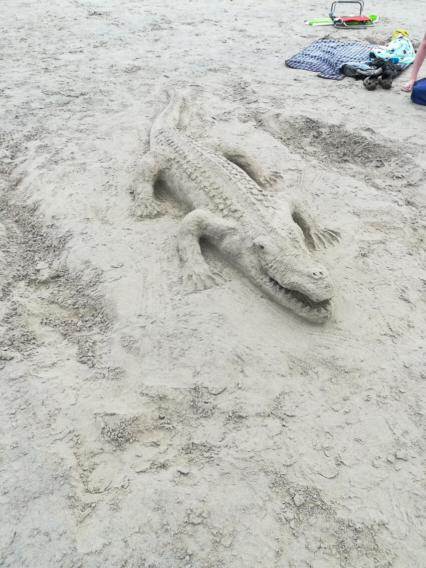Песочный крокодил