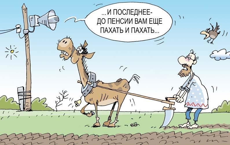 Если старый, сразу в гроб!