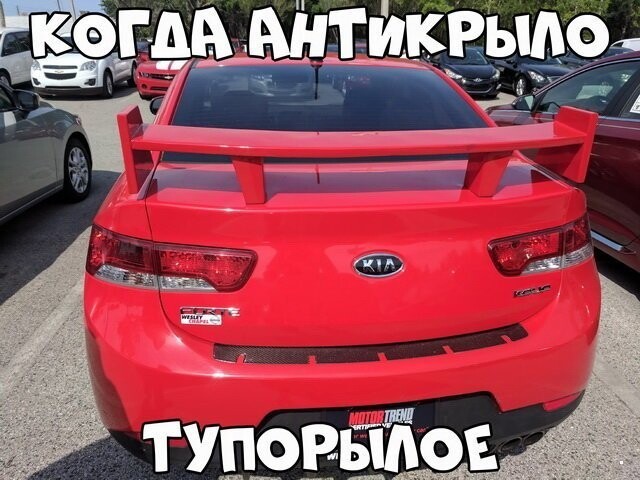 Автовсячина