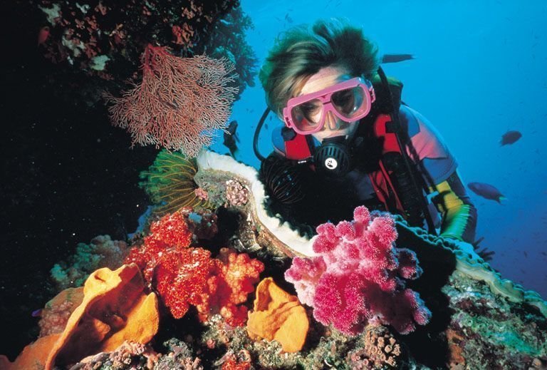 4. Дайвинг на коралловых рифах