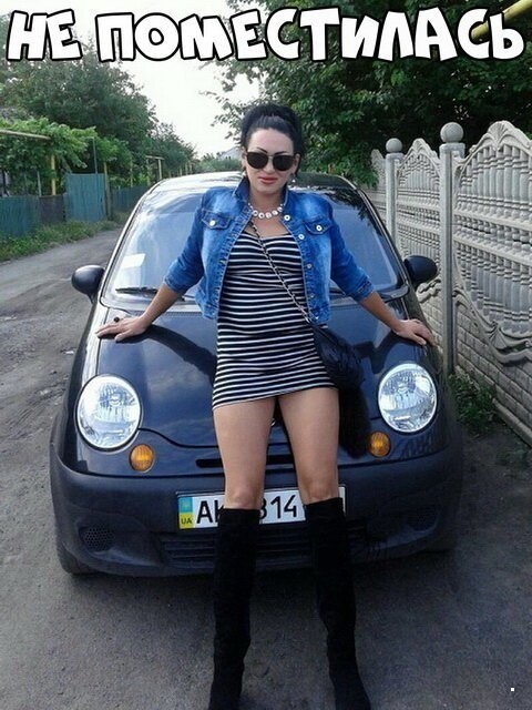 Автовсячина