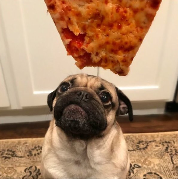 Это любовь. К пицце