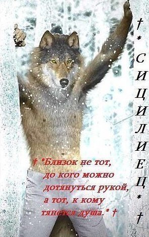 Филиал лиги Фотошопа на Одноклассниках представляет
