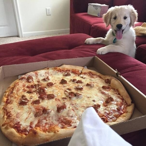 А мне пиццы?