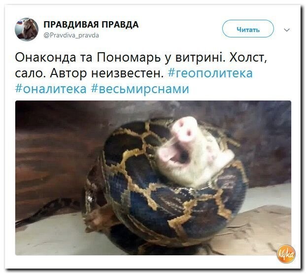 Политические коментарии - 540