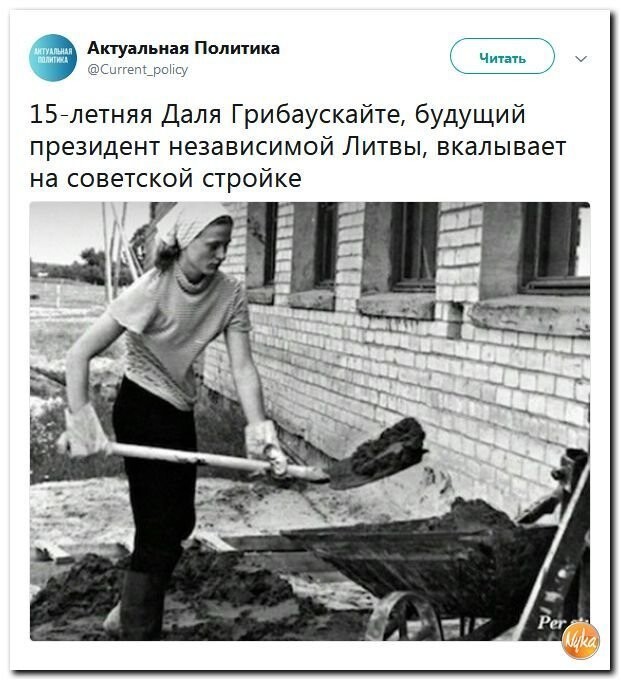 Политические коментарии - 541