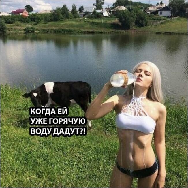 Прикольные картинки