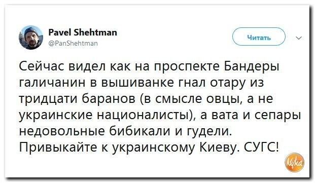Политические коментарии - 543