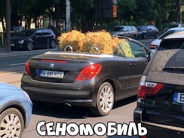 Автовсячина