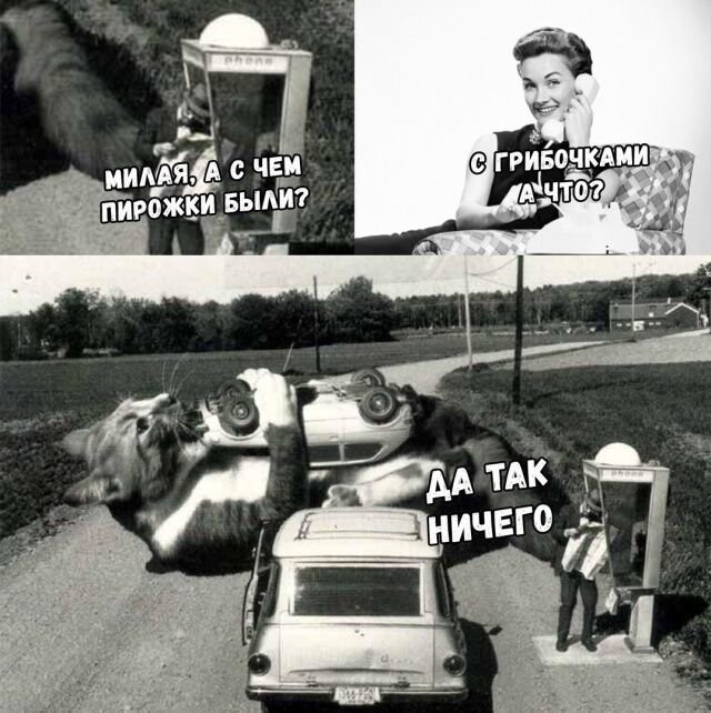 Не очень серьёзные фоты