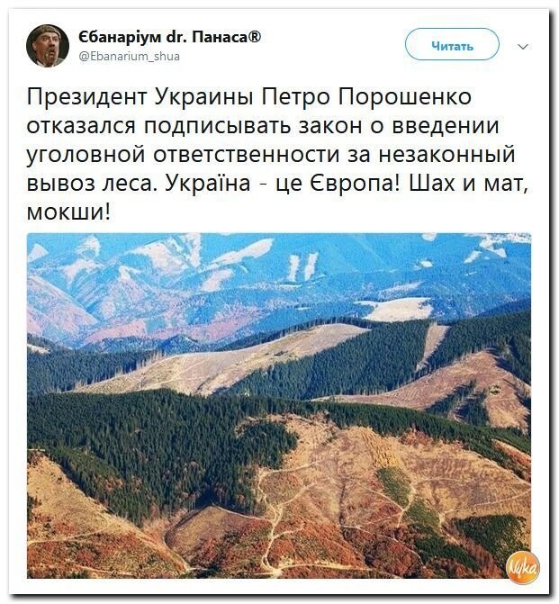 Политические коментарии - 544