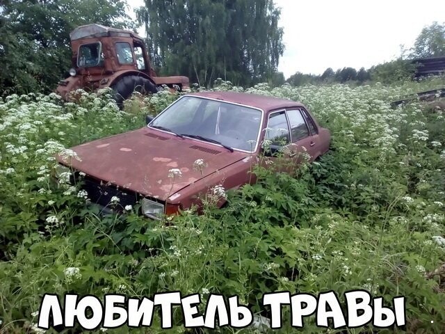 Автовсячина