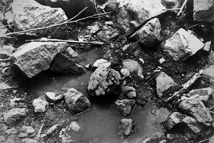 Крупные метеориты на месте падения Сихотэ-Алинского метеоритного дождя