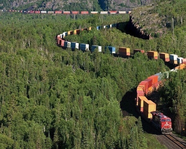 Богатство в разнообразии