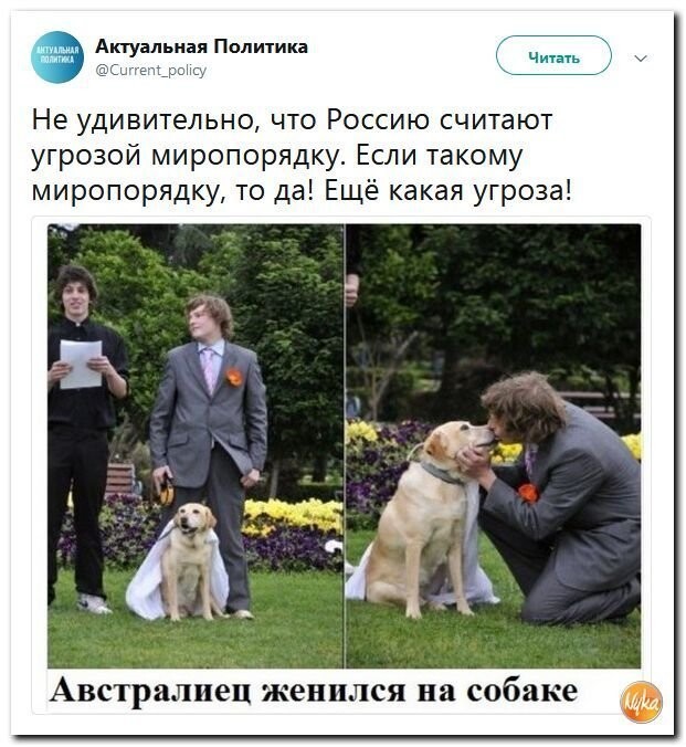 Политические коментарии - 545