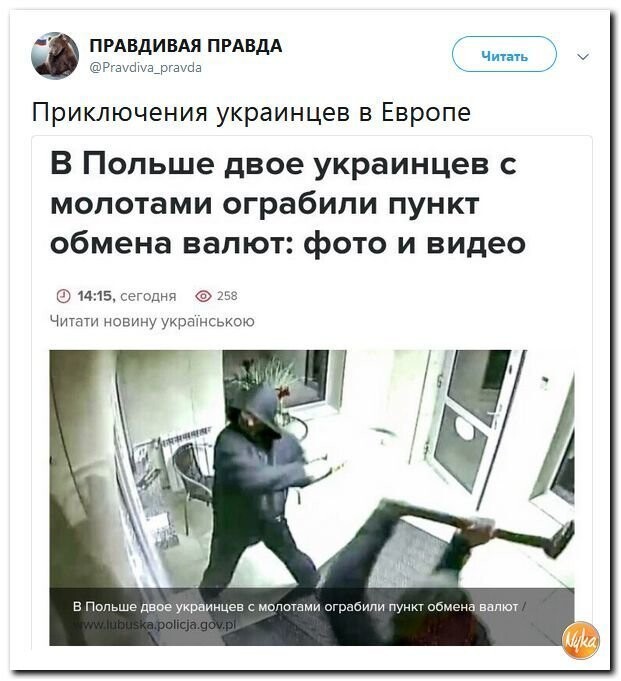Политические коментарии - 545