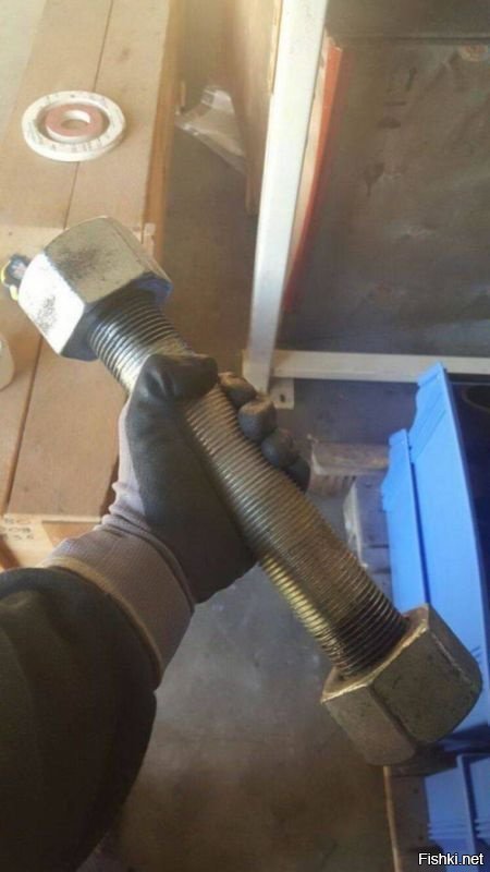 Вот, что значит — забить болт
