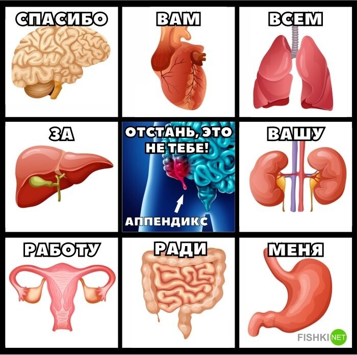Лучшие мемы о врачах и медицине