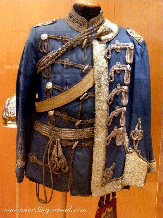 Гусарский полк Шлезвиг-Гольштейна, Австрия