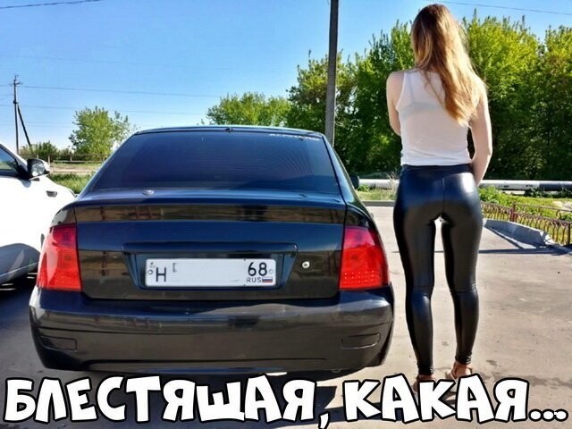 Автовсячина