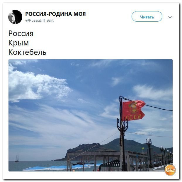 Политические коментарии - 546