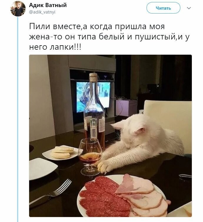 Политические коментарии - 546